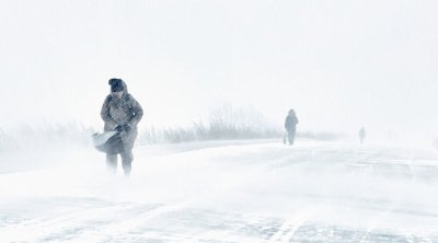 Bu ölkədə fırtına - 160 mindən çox ev elektriksiz qaldı