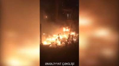 Bakıda ağaclıq sahədə YANĞIN OLUB - VİDEO