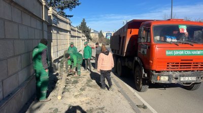 Bakıda güclü küləyin törətdiyi FƏSADLAR – FOTO