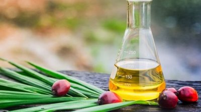 Azərbaycana nə qədər palma yağı gətirilib?