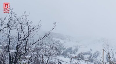 Cəlilabadın bu kəndləri &ldquo;ağ örpəyə&rdquo; BÜRÜNDÜ - FOTO