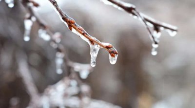 Külək güclənəcək, şaxta olacaq – SABAHIN HAVASI