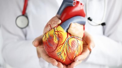 Şəhərdə yaşayanların DİQQƏTİNƏ: Bu səbəbdən ürək xəstəlikləri və piylənmə riskiniz var