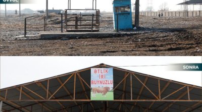 İmişlidə heyvan bazarı açıldı &ndash; FOTO