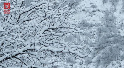 Qərb bölgəsinin bu ərazilərinə güclü qar yağır &ndash; FOTO