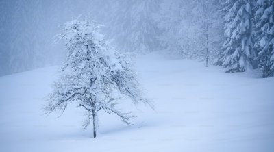 Sabahın HAVASI: 20 dərəcə şaxta, qar...