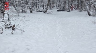 Şimal bölgəsinə yenə qar yağdı &ndash; FOTO/VİDEO