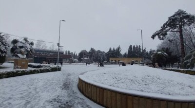 Biləsuvara mövsümün ilk qarı yağdı - FOTO