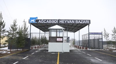 Ağcabədi heyvan bazarı da açıldı &ndash; FOTO/VİDEO
