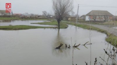 Masallıda əkin sahələri su altında qaldı &ndash; FOTO