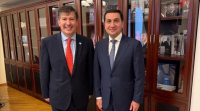 Hikmət Hacıyev BMT-nin Azərbaycandakı nümayəndəsi ilə görüşdü – FOTO