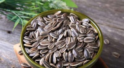 Tum çırtdamağın FAYDALARI