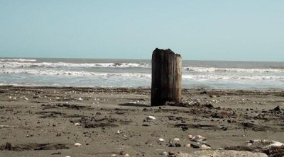 Xəzər geri çəkilir: Yeni ekosistem yaranır &ndash; FOTO