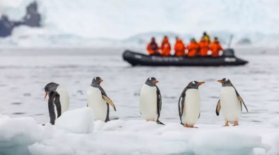 Antarktidada iş elanı - 70 min manat maaş, limitsiz yemək...