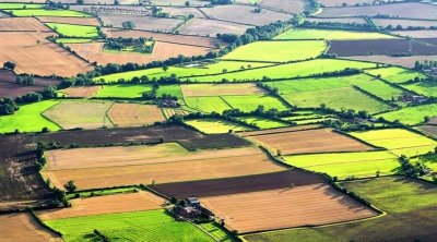 Ötən il neçə hektar torpaq bələdiyyələr tərəfindən QANUNSUZ AYRILIB?