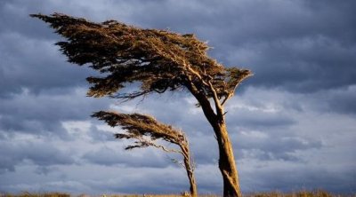 FAKTİKİ HAVA: Bakıda güclü külək əsir