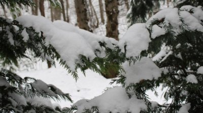 Yağıntılar nə vaxt kəsiləcək? - VİDEO