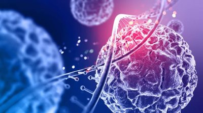 Bu meyvə xərçəngin dərmanıdır