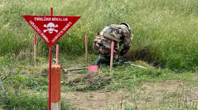 FHN minatəmizləmə fəaliyyətində iştirak edəcək – FƏRMAN