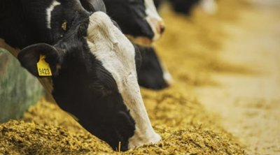 AQTA-dan fermerlərə ÇAĞIRIŞ: &ldquo;Heyvanları vaxtında&hellip;&rdquo;