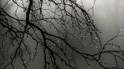 Növbəti 2 gün hava necə olacaq?