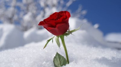 Külək əsəcək, qar yağacaq... &ndash; 8 Mart HAVASI