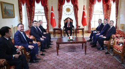 Ərdoğan TDT-yə üzv dövlətlərin xarici işlər nazirlərini QƏBUL ETDİ