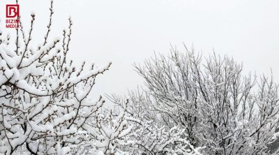 Şəkiyə gedənləri bu mənzərə gözləyir &ndash; FOTO/VİDEO