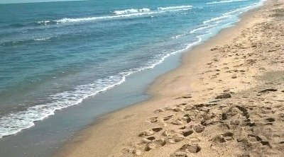 Xəzərin geri çəkilməsi balıqçıları çətin duruma saldı &ndash; VİDEO