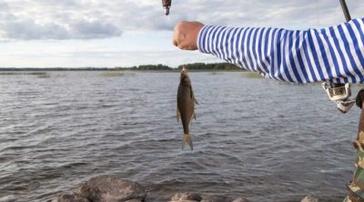 Sabahdan Azərbaycanda balıq ovu QADAĞAN EDİLİR