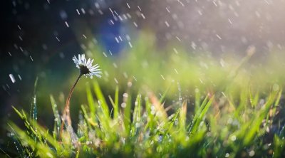 Aprelin ilk 10 günü yağıntılı olacaq