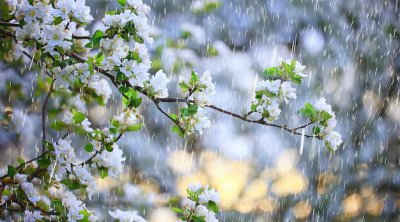 Yağış yağacaq, güclü külək əsəcək &ndash; SABAHIN HAVASI