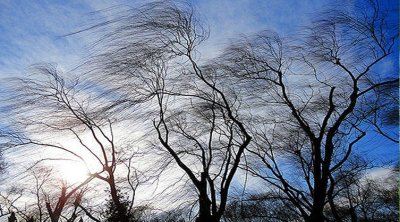 Küləkli hava ilə bağlı XƏBƏRDARLIQ