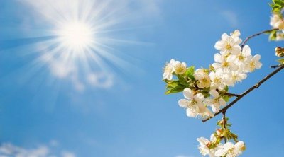 Bu gün 23 dərəcə isti olacaq