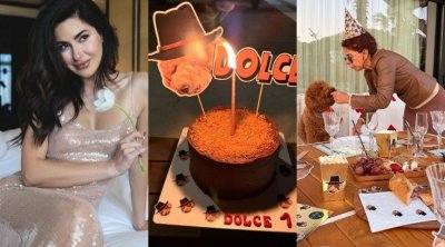 Nəsrin itinə ad günü etdi - Video