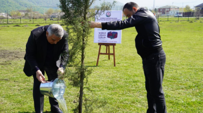 Zaqatalada ağacəkmə aksiyası - FOTO