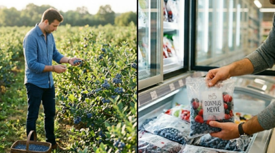 Bu meyvəni budaqdan deyil, soyuducudan yeyin: Donmuş halı daha sağlam imiş