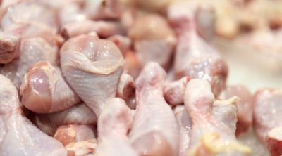 Ukraynadan gətirilən toyuq məhsulunda bakterial infeksiya aşkarlandı &ndash; FOTO