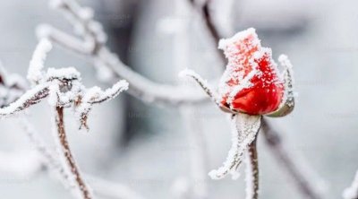APREL və QAR: son 10 ildə hansı bölgələrə yazda qış gəlib?