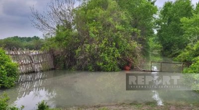 Kürün suyu artdı - Daha 2 kənddə torpaq sahələri su altında qaldı