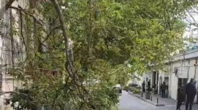 Bakının mərkəzində qırılan ağac təhlükəli vəziyyət yaratdı - VİDEO