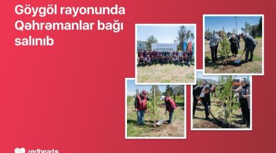 Göygöldə &ldquo;Qəhrəmanlar bağı&rdquo; aksiyası həyata keçirilib