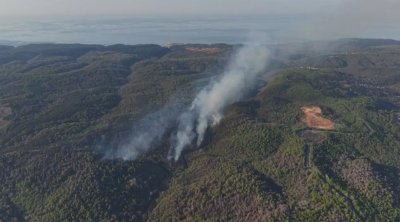 Türkiyədə meşə yanğını: 3 helikopter havaya qaldırıldı - VİDEO