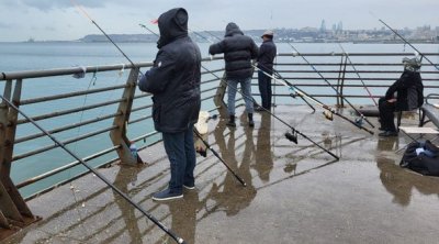 Xəzərdə balıq ovu tam dayandırılır - TARİX