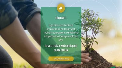 Qarabağda torpaqların icarəyə verilməsi üzrə növbəti MÜSABİQƏ elan edilib