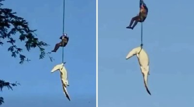 İnsan yeyən timsah helikopterlə belə tutuldu &ndash; ANBAAN VİDEO