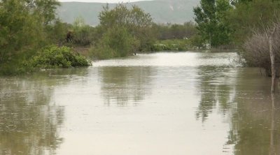 Kür daşdı: Sabirabadda geniş ərazilər su altında qaldı - FOTO
