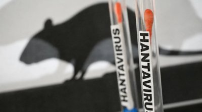 Hantavirusa yoluxanlar 42 gün təcrid ediləcəklər