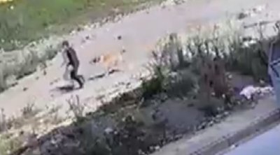 Azyaşlı sahibsiz itlərin hücumundan son anda xilas oldu – ANBAAN VİDEO