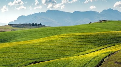 Azərbaycanda bu şəxslərə pulsuz torpaq VERİLƏCƏK